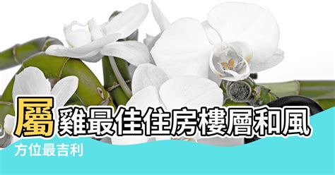 屬雞樓層|【屬雞人住房風水和方位】屬雞最佳住房樓層和風水方位 